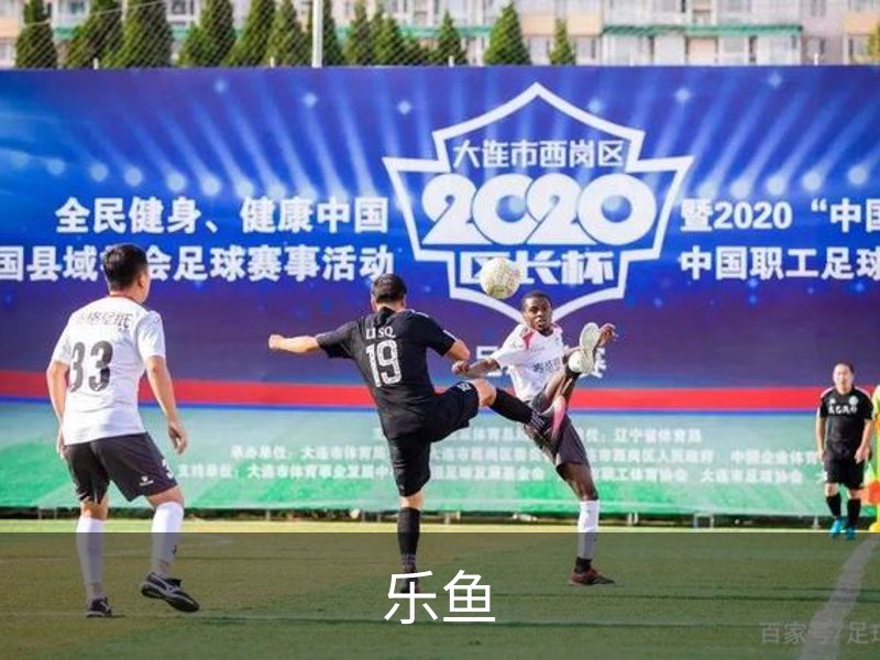 乐鱼品牌故事